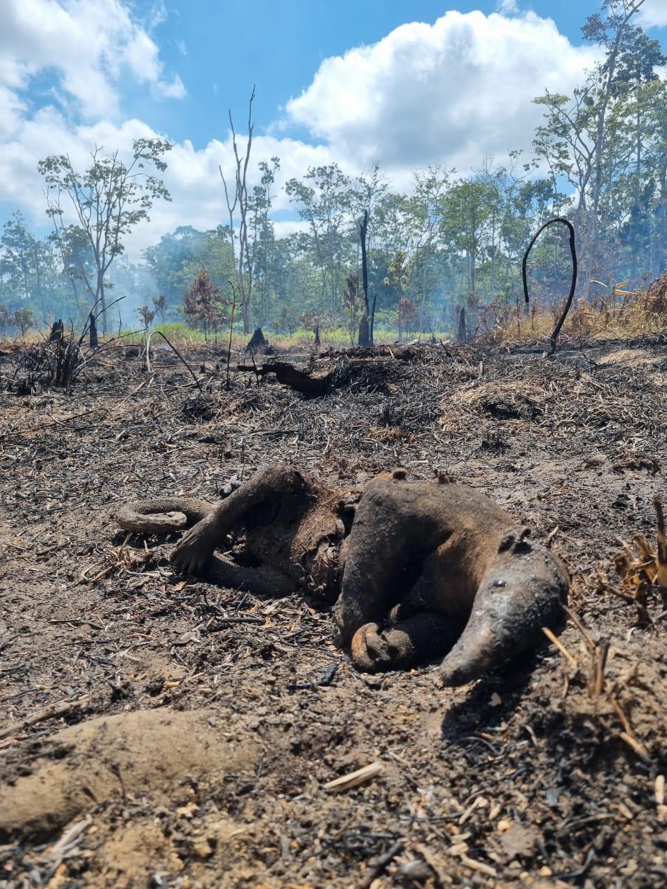 WhatsApp Image 2023-10-16 at 15.25.40.jpeg