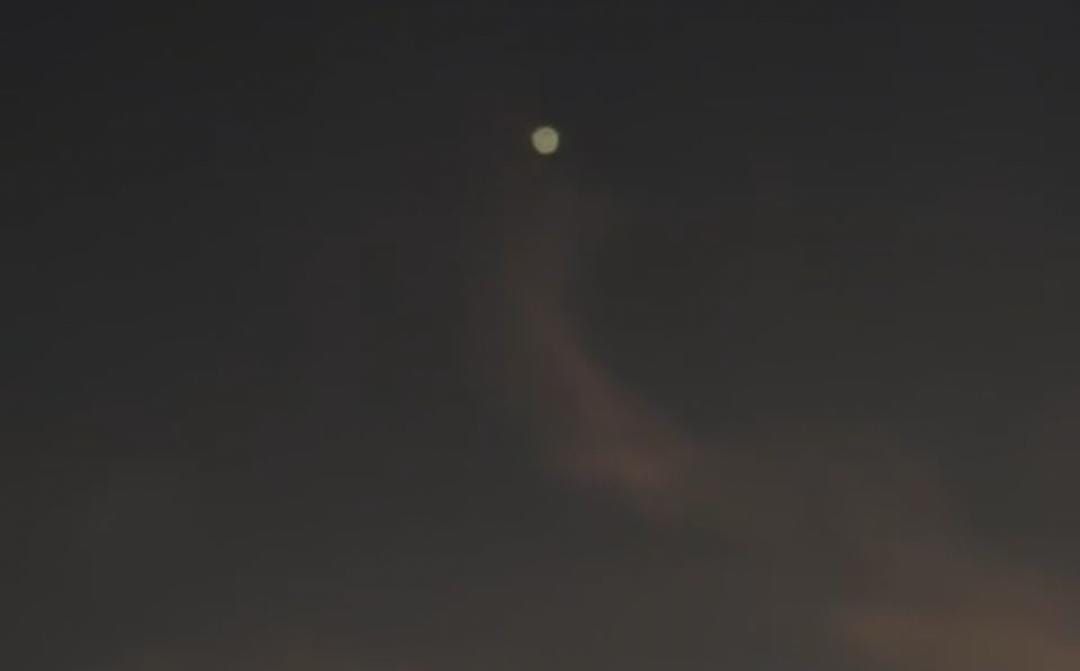 WhatsApp Image 2023-11-18 at 16.56.12.jpeg