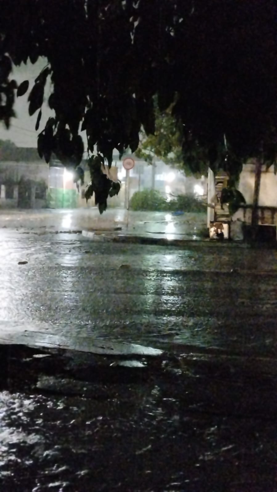 WhatsApp Image 2023-11-27 at 08.17.24 (1).jpeg