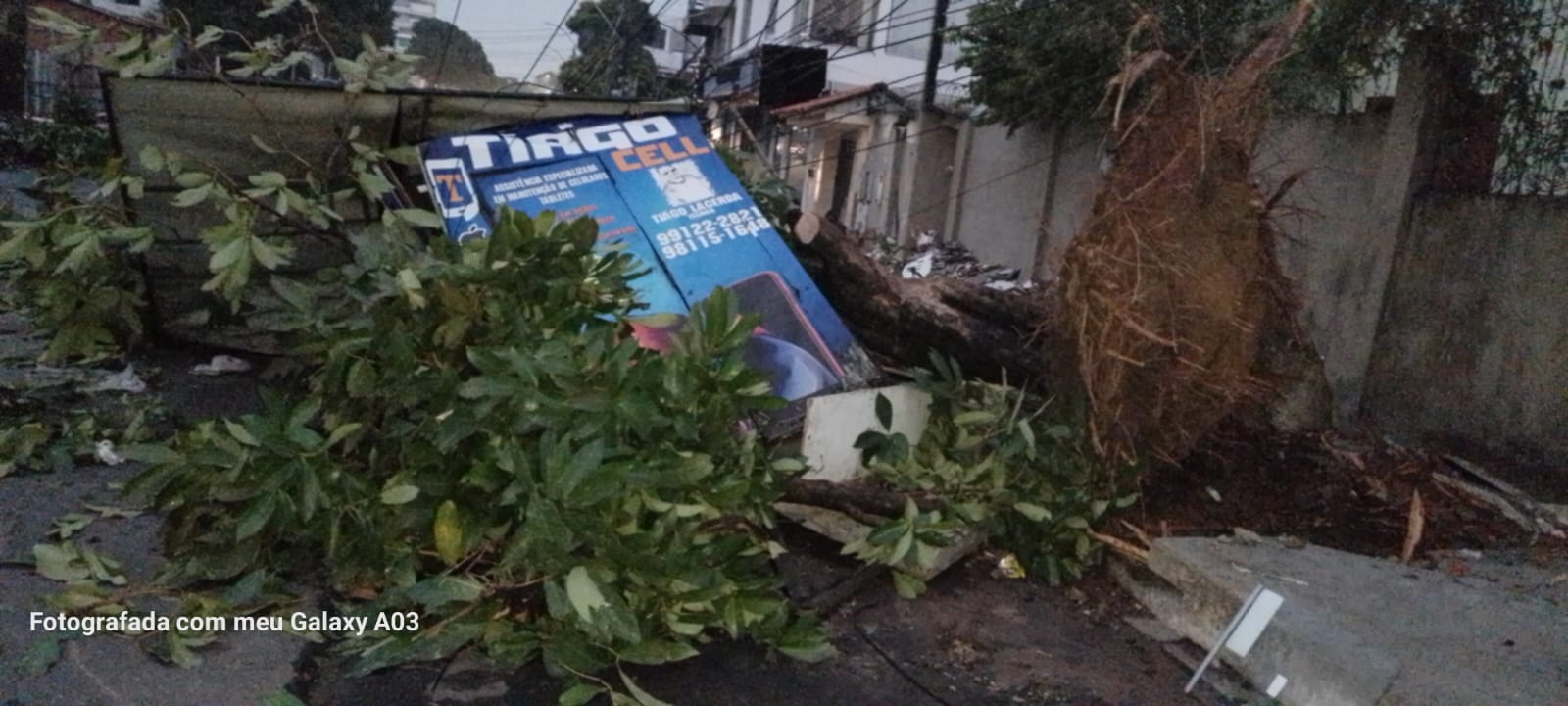 WhatsApp Image 2023-11-27 at 08.17.25.jpeg