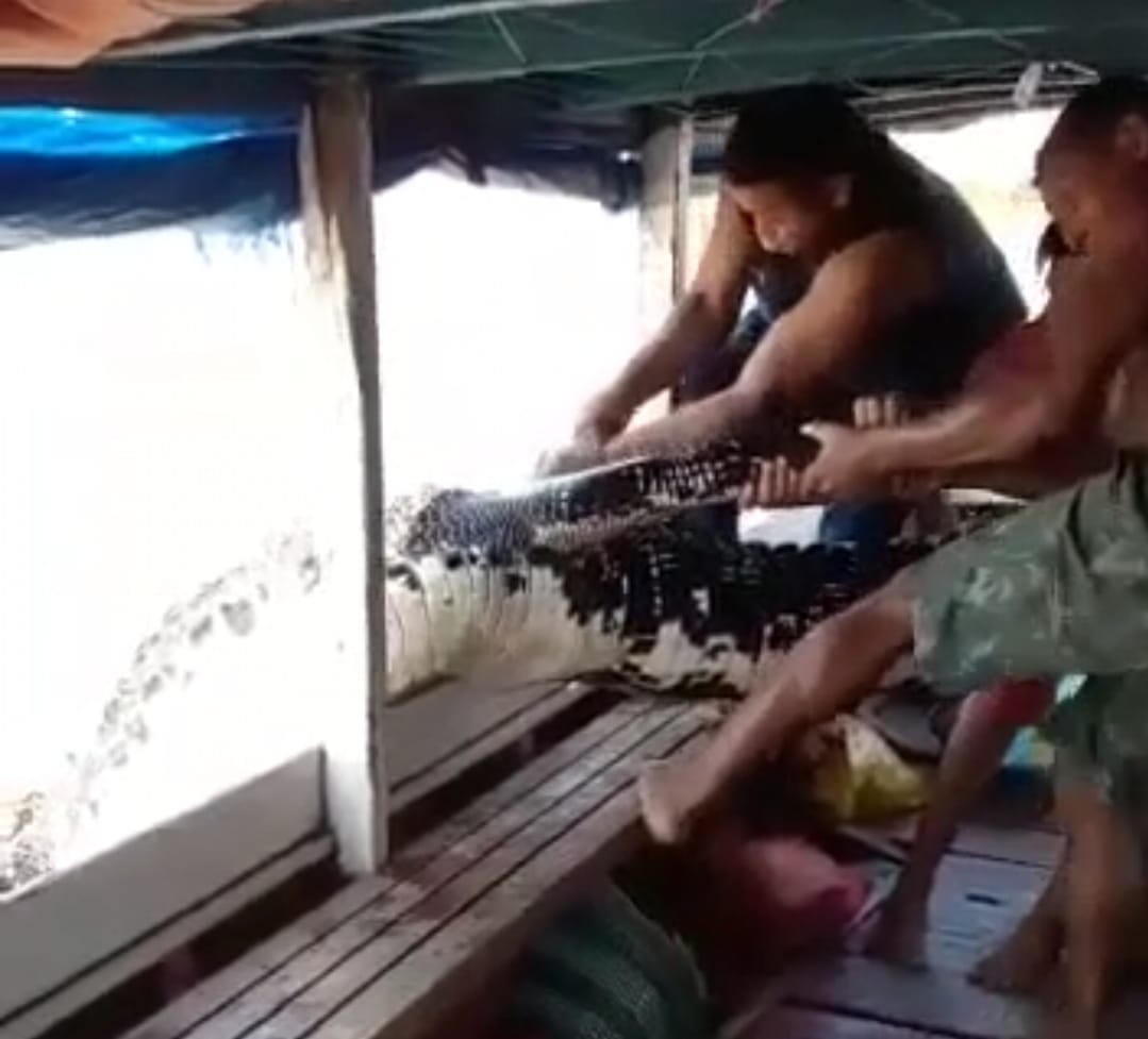 WhatsApp Image 2024-01-20 at 12.53.16.jpeg