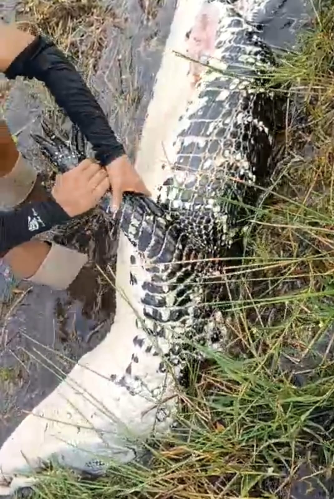 WhatsApp Image 2024-01-20 at 12.53.17.jpeg