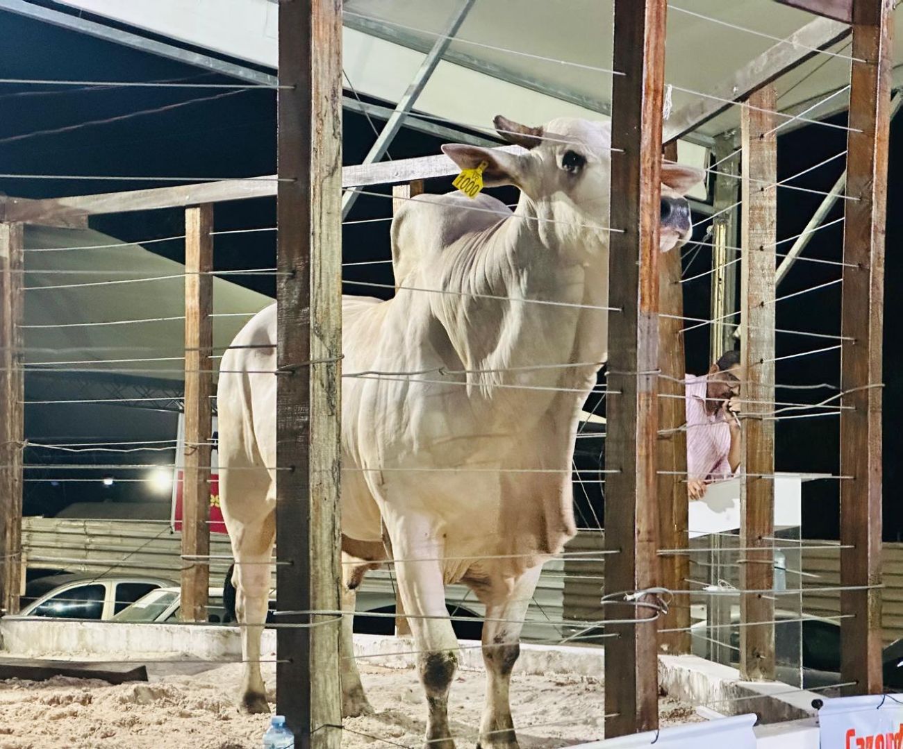 WhatsApp Image 2025-08-25 at 15.49.34.jpeg