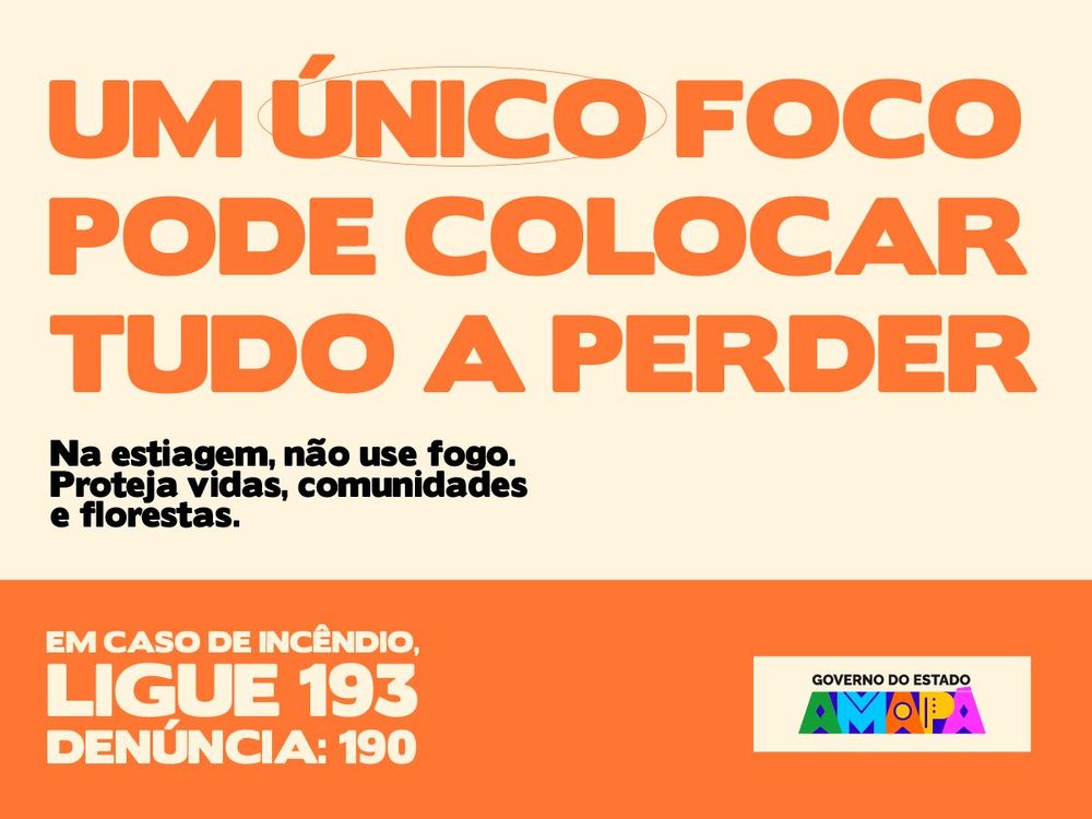 governo-queimadas