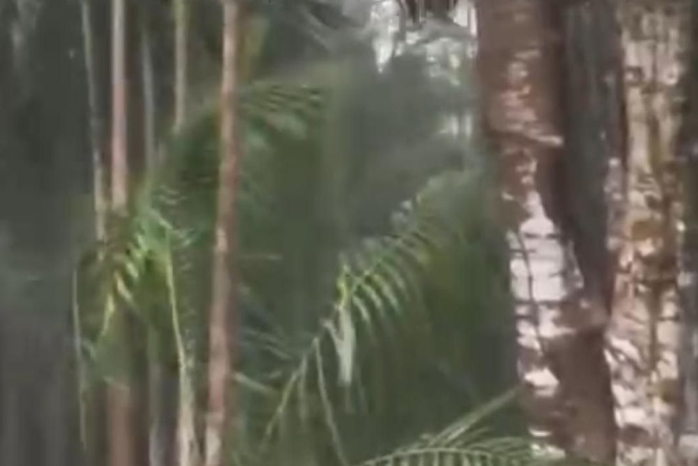 Papo de se Embrulhar?: O que você faz em um dia de toró amazônico?