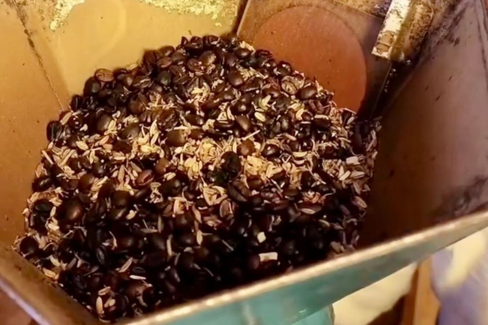 Já Provou?: Café moído com erva-doce vira aliado de ribeirinha na rotina puxada