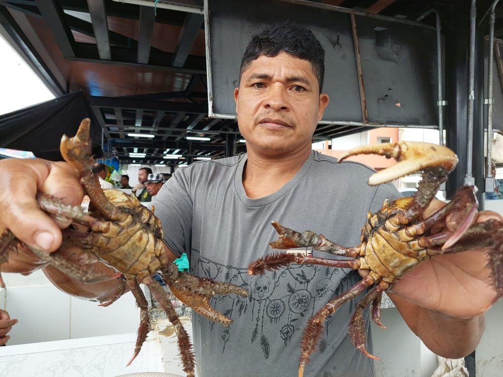 Defeso do caranguejo segue até o mês de abril