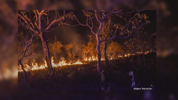Amapá reduz em 82% número de focos de calor nos primeiros dias de setembro