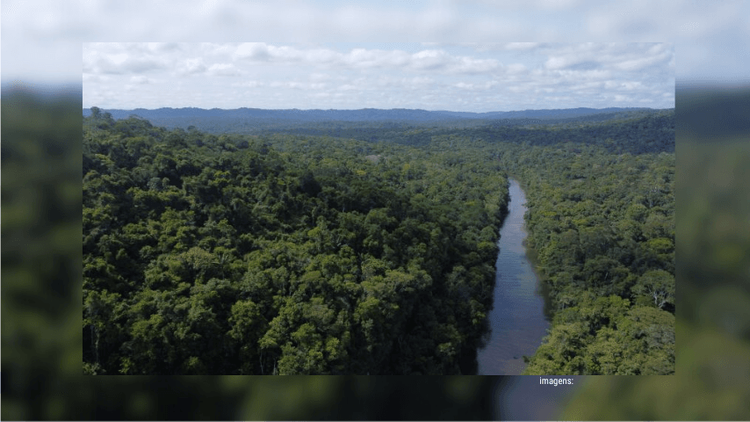 Dados do Inpe: Amapá lidera ranking nacional com taxa zero de desmatamento em 2024