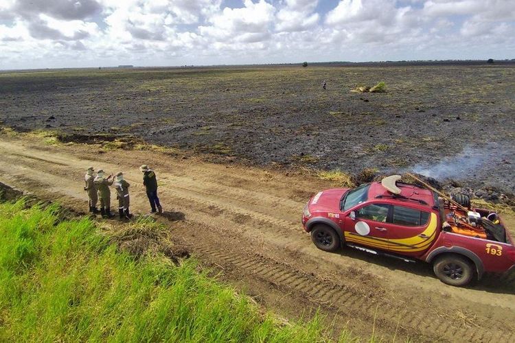 Fogo: Mais de 40 incêndios florestais são registrados em duas semanas