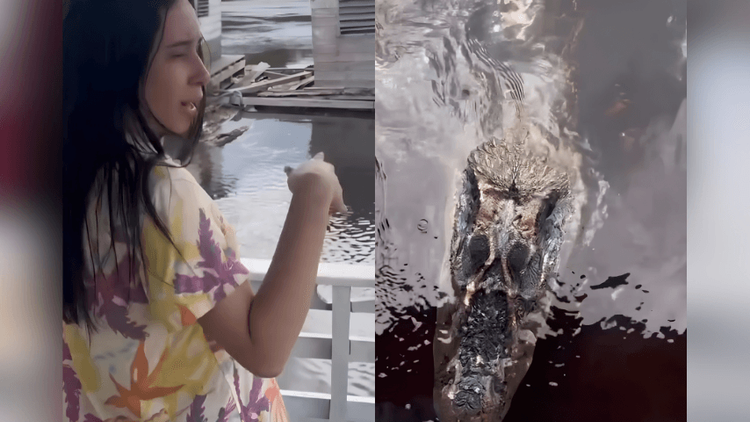 Vai um mergulho?: Banhistas desistem de entrar no rio ao darem de cara com ‘lacoste’ gigante