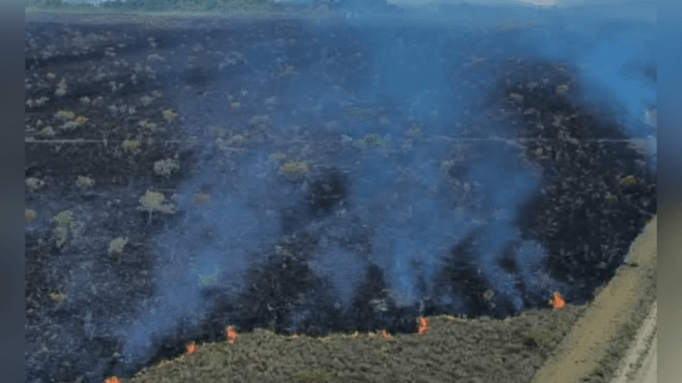 El Niño: Fumaça invade Macapá em meio ao avanço dos incêndios