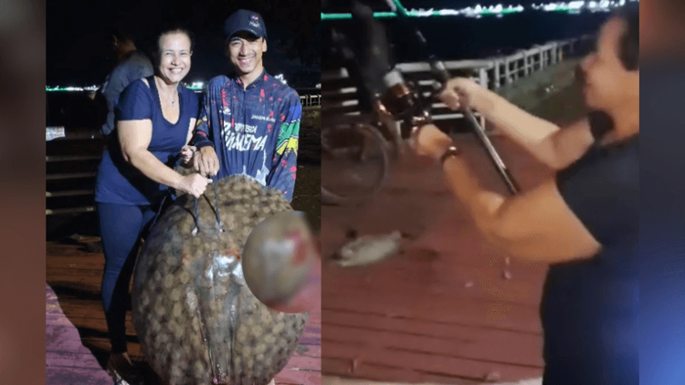 Mais de 40kg: Mulher fisga arraia gigante na orla de Macapá: ‘deu trabalho!’