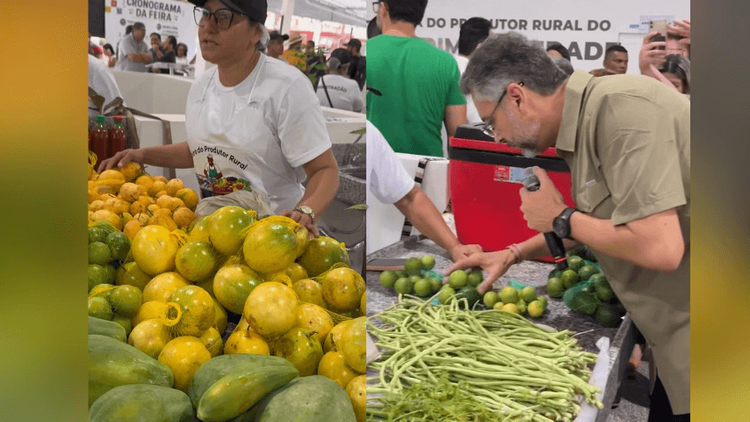 Mais verde: Nova Feira do Jardim Felicidade tem venda de produtos orgânicos toda quarta