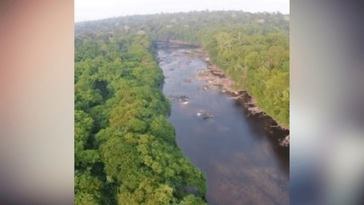 Onde estão?: Quatro homens desaparecem em área de mata do Amapá