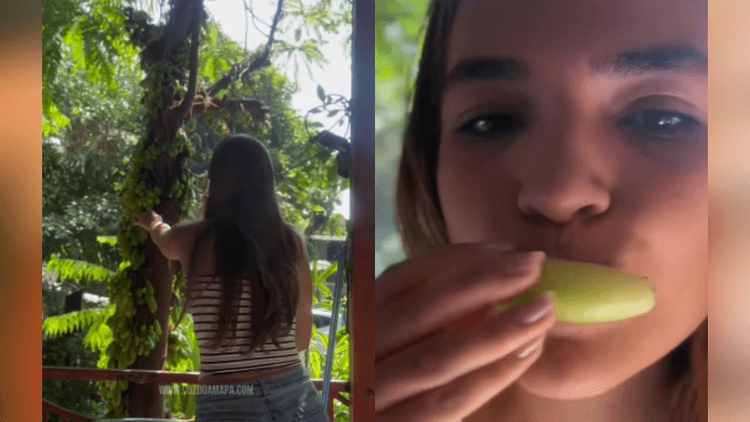 Dica raiz: Jovem ensina jeitinho para tirar o ‘roxinho’ da boca de açaí
