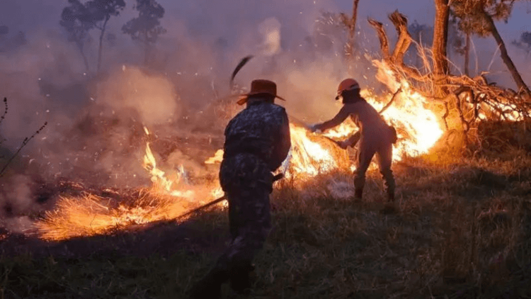 Super El Niño: Amapá limita uso do fogo até novembro para prevenir queimadas e incêndios