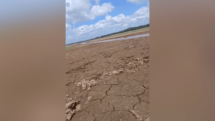 Cadê a água?: Seca em Pracuúba preocupa famílias que vivem da pesca