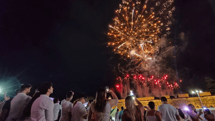 Comemoração ou incômodo?: Fogos no Réveillon preocupam população e protetores de animais