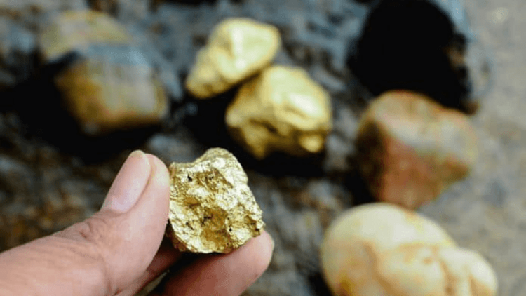 Na mira: PF, França e ONU vão ‘rastrear’ ouro no Amapá para enfraquecer garimpo ilegal