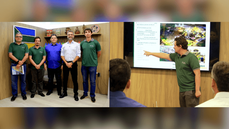 Pedra Branca retoma atividade mineral; expectativa é gerar mil empregos diretos no AP