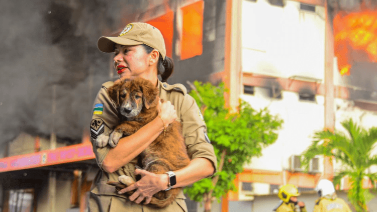 ‘Toda vida importa’: Fotógrafo registra bombeira salvando cachorrinho durante incêndio, em Macapá