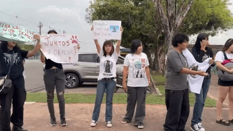 'Toda vida importa!': Amapaenses cobram justiça para o cãozinho Orelha