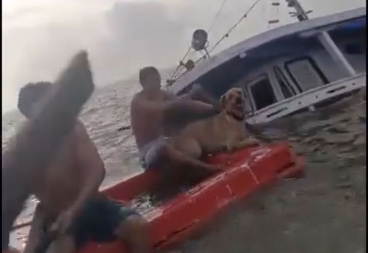 Resgate: 6 pessoas e um cachorro são salvos após barco carregado de madeira virar