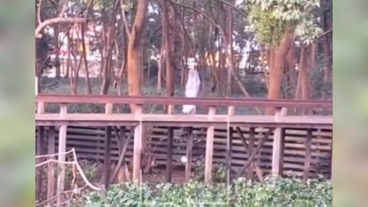 Lenda urbana? Homem flagra 'noiva fantasma' na orla de Macapá