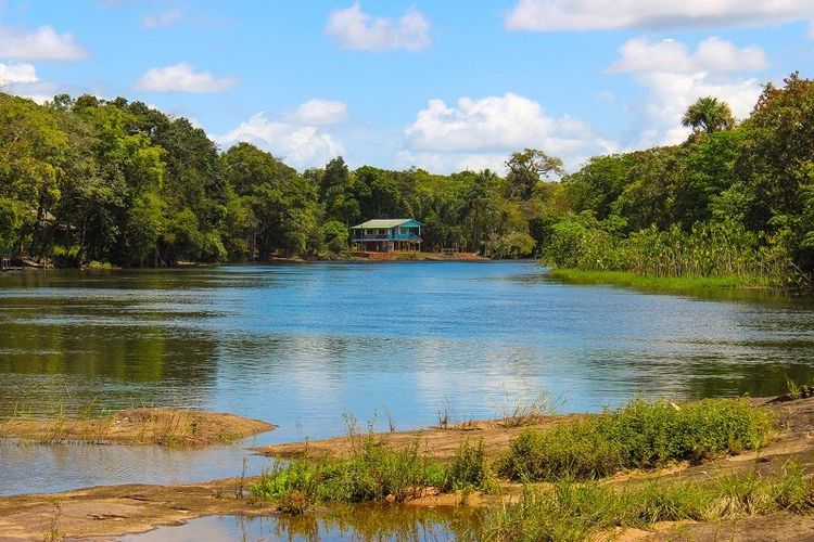 Desmatamento na Amazônia e “ponto de não retorno” serão debatidos em audiência na Câmara