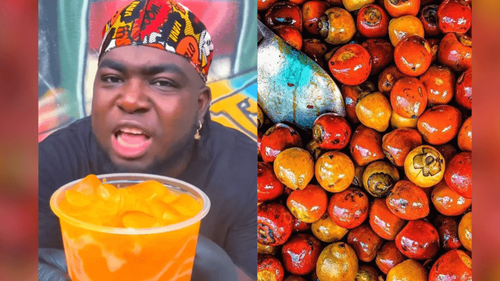 Refrescante: Já experimentou drink de pupunha da Amazônia? Vem aprender