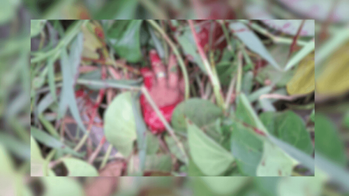 Congós: Homem desobedece facção e tem mão decep4da a terçadad4s