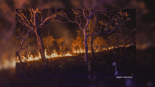 Amapá reduz em 82% número de focos de calor nos primeiros dias de setembro