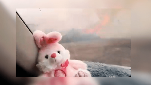 Mazagão: Incêndio em vegetação atinge carro na estrada