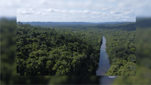 Dados do Inpe: Amapá lidera ranking nacional com taxa zero de desmatamento em 2024