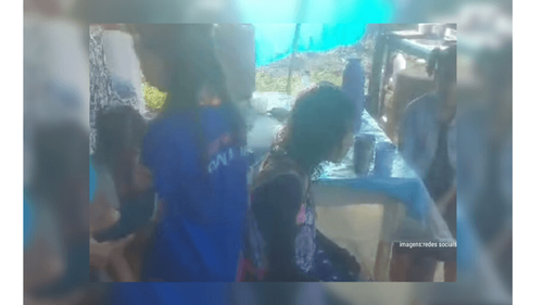 Porto Grande: Kombi escolar bate em árvore e crianças ficam feridas