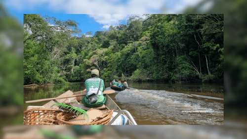 Biodiversidade: Expedição no Amapá recebe pesquisadores dos EUA