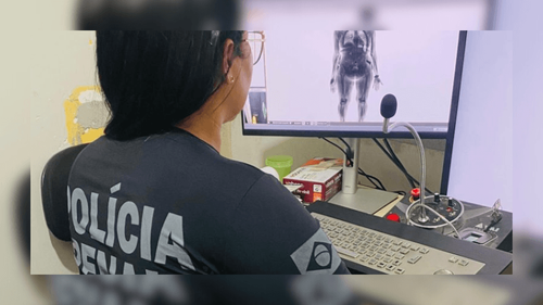 Saída temporária: Onze internos do Iapen não retornaram das festas de fim  de ano