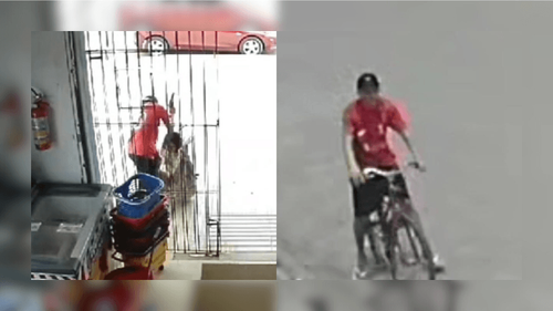 Covardia: jovem é jogada no chão e leva coronhadas durante assalto, em Santana