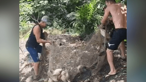 Já era o almoço: Peixes escapam de pescadores atrapalhados
