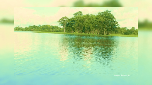 Região dos Lagos no Amapá: Maravilha da natureza que atrai turistas em busca de aventuras