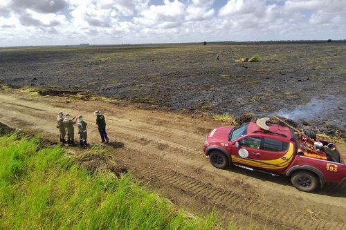Fogo: Mais de 40 incêndios florestais são registrados em duas semanas