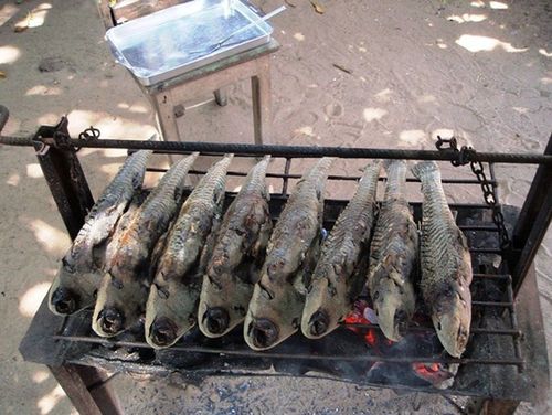 Vai um acari aí? Assado ou cozido?