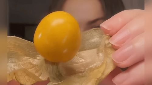 Aqui é mato: Influencer chama camapu de ‘fruta de rico e mega caro’. Você conhece?!