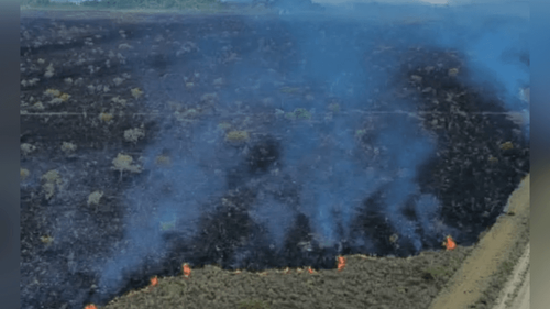 El Niño: Fumaça invade Macapá em meio ao avanço dos incêndios