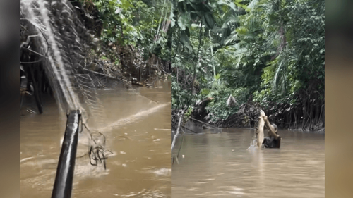 Nada de moleza: Influencer mostra rotina pesada de família ribeirinha para garantir peixe da Semana Santana
