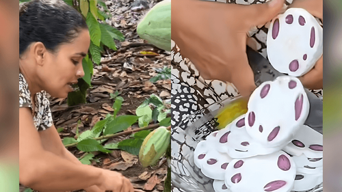Mistura diferentona: Influencer ensina salada de cacau verde com limão. Você encara?