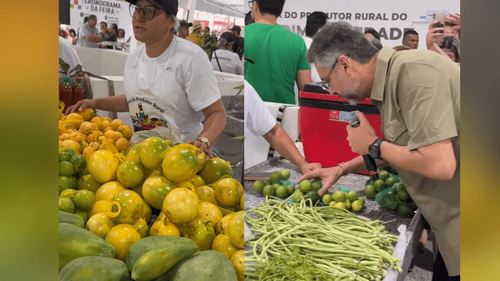Mais verde: Nova Feira do Jardim Felicidade tem venda de produtos orgânicos toda quarta