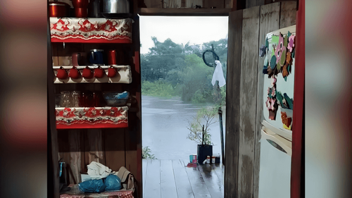 Cenário de filme: Casa simples na Amazônia encanta pela organização e família unida