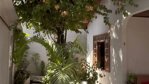 Lar, doce lar: Macapaense mostra casa aconchegante e cheia de verde: ‘sente a paz!’